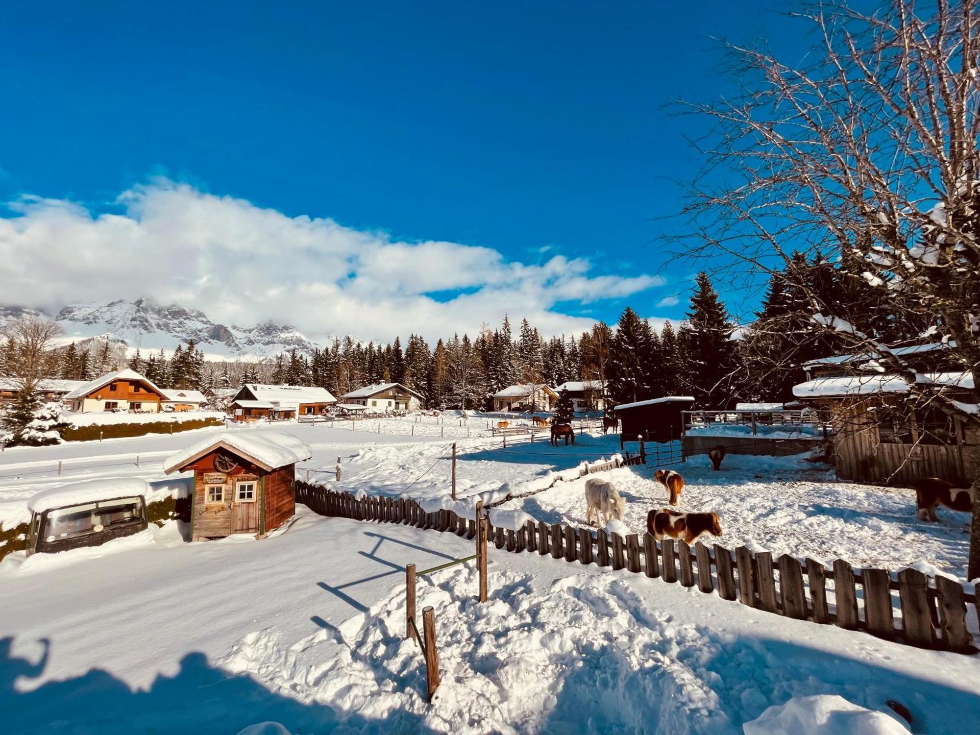 Vorberghof Hotel Ramsau am Dachstein Exterior foto
